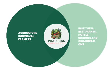 Solution Diagram